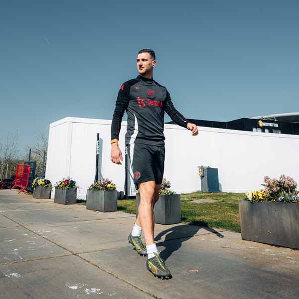 training-update-from-carrington