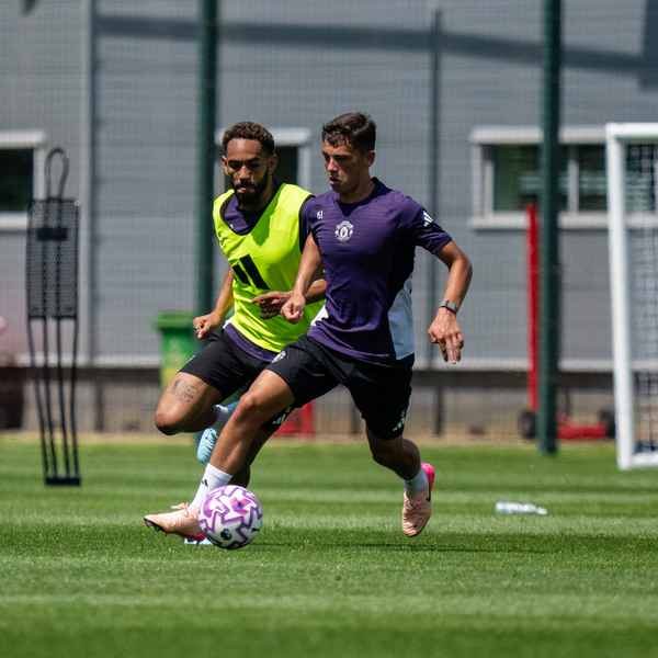 the-graft-continues